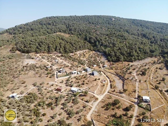 ÇAKALTEPE/ELEKTRİK-SU AKTİF/543 m2-TAPUDAN SATIŞLI ZEYTİNL BAHÇE - Görsel 27