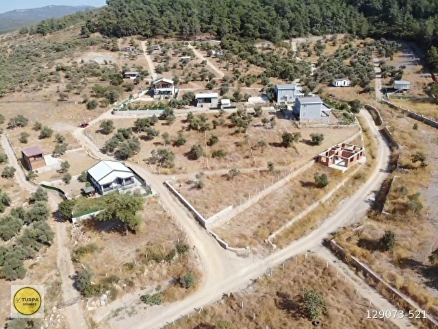 ÇAKALTEPE/ELEKTRİK-SU AKTİF/543 m2-TAPUDAN SATIŞLI ZEYTİNL BAHÇE - Görsel 25
