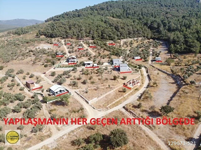 ÇAKALTEPE/ELEKTRİK-SU AKTİF/543 m2-TAPUDAN SATIŞLI ZEYTİNL BAHÇE - Görsel 16