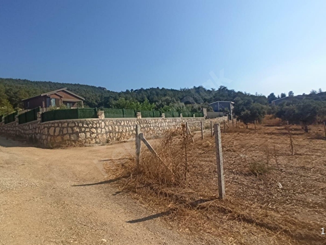ÇAKALTEPE/ELEKTRİK-SU AKTİF/543 m2-TAPUDAN SATIŞLI ZEYTİNL BAHÇE - Görsel 19