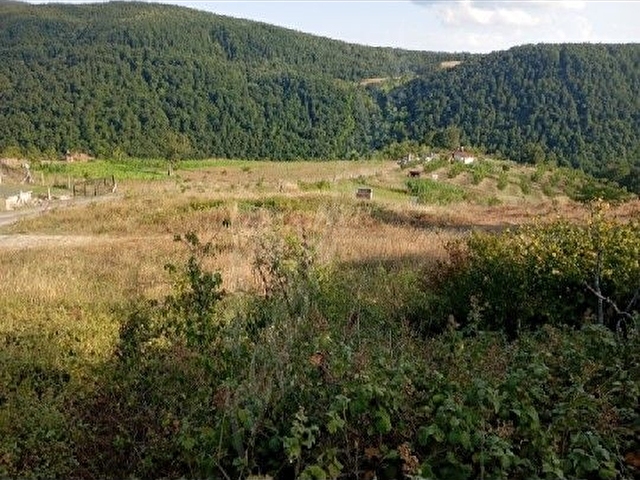 Ermeni çiftligi Suludere - Görsel 8