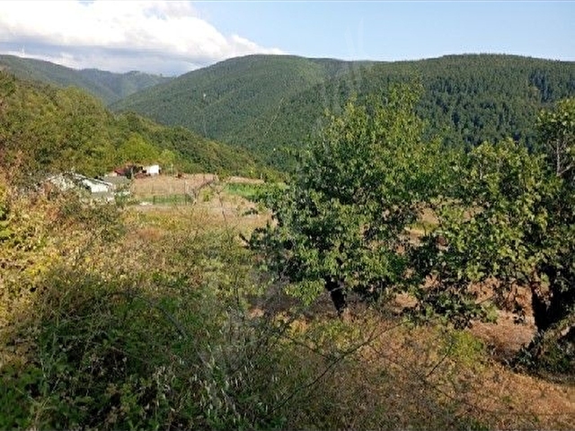 Ermeni çiftligi Suludere - Görsel 9