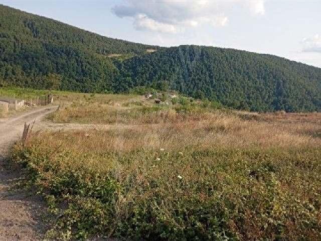 Ermeni çiftligi Suludere - Görsel 13