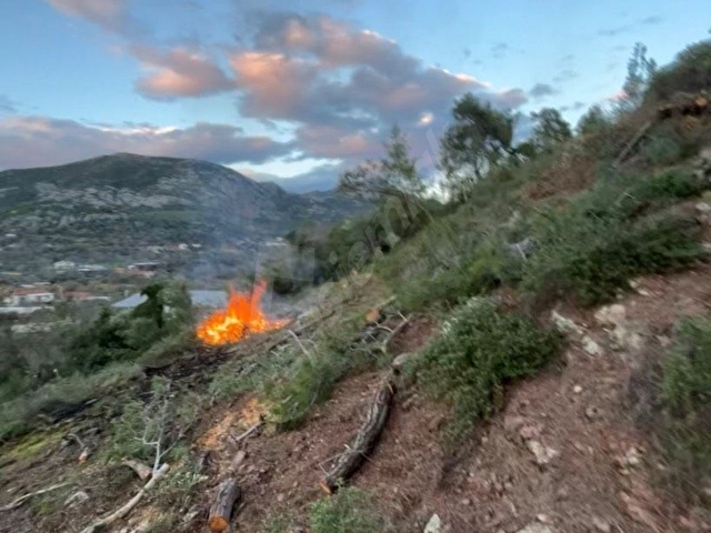 ACİL SATILIKTIR 927m2 TARLA - Görsel 2