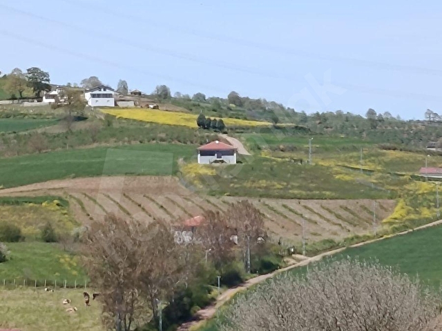 KOCAELİ KANDIRA PELETPINAR KÖYÜ KELEPİR ARSA.... - Görsel 7
