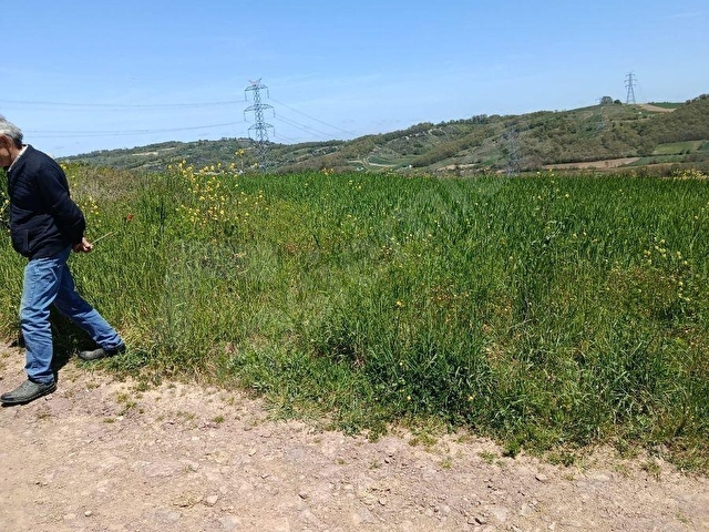 KOCAELİ KANDIRA PELETPINAR KÖYÜ KELEPİR ARSA.... - Görsel 17