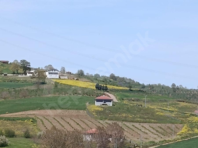 KOCAELİ KANDIRA PELETPINAR KÖYÜ KELEPİR ARSA.... - Görsel 2