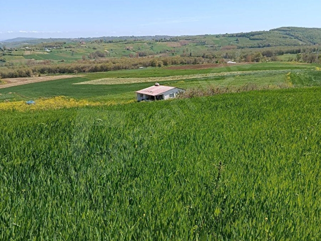 KOCAELİ KANDIRA PELETPINAR KÖYÜ KELEPİR ARSA.... - Görsel 12