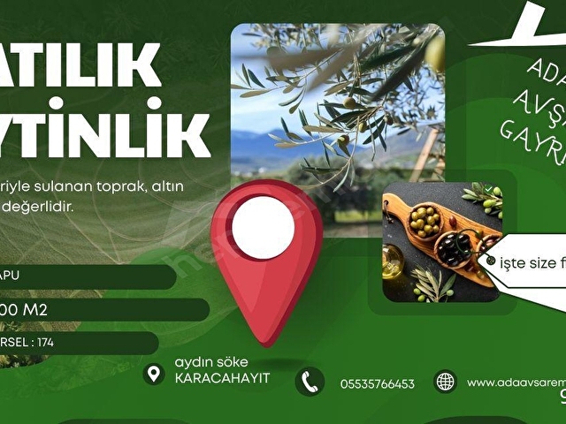 SATILIK FIRSAT KUPON ZEYTİNLİK - Görsel 28
