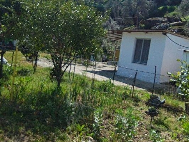 SATILIK FIRSAT KUPON ZEYTİNLİK - Görsel 25
