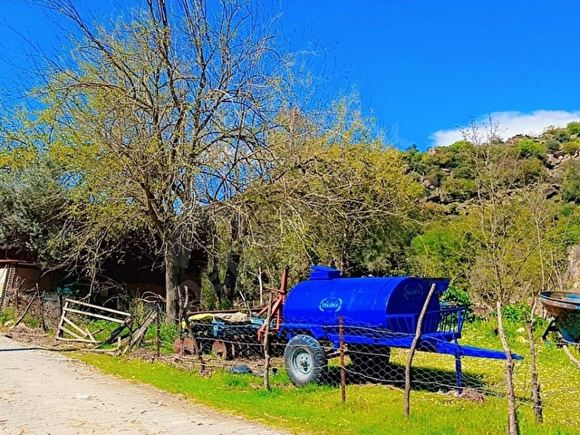 SATILIK FIRSAT KUPON ZEYTİNLİK - Görsel 3