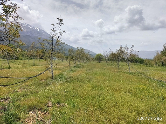 ISPARTA SENİRKENT SATILIK İÇİNDE EVİ OLAN BAHÇE - Görsel 19