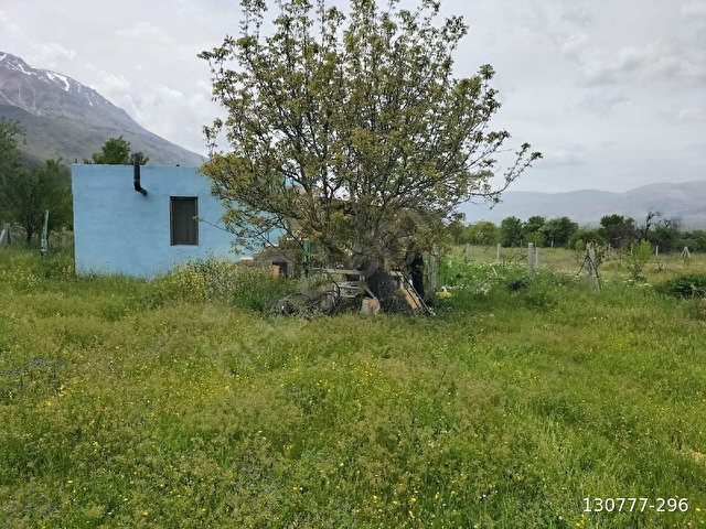 ISPARTA SENİRKENT SATILIK İÇİNDE EVİ OLAN BAHÇE - Görsel 21