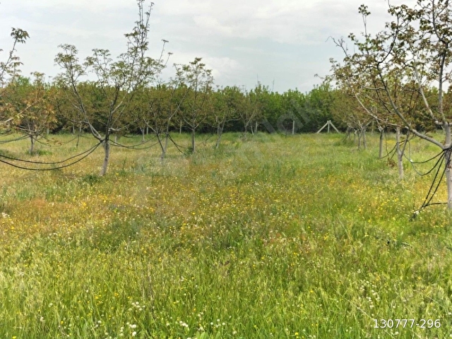ISPARTA SENİRKENT SATILIK İÇİNDE EVİ OLAN BAHÇE - Görsel 26