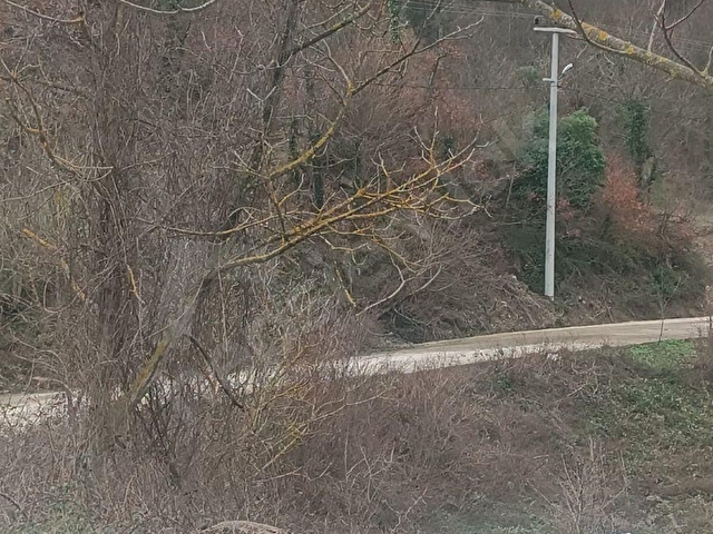 Sakarya Geyve Kızılkaya Mevki 1351 Metrekare%40 İmarlı Arsa - Görsel 9