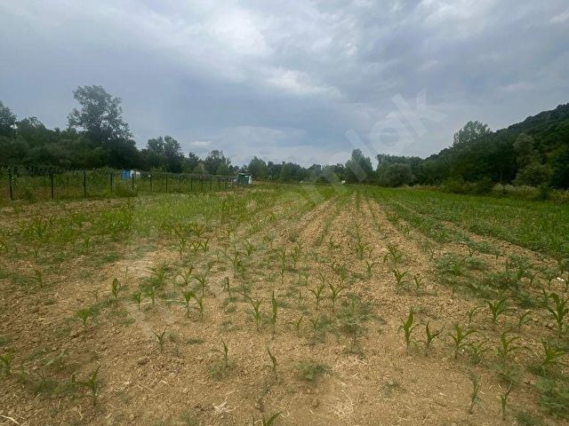 Kandıra Topluca Satılık