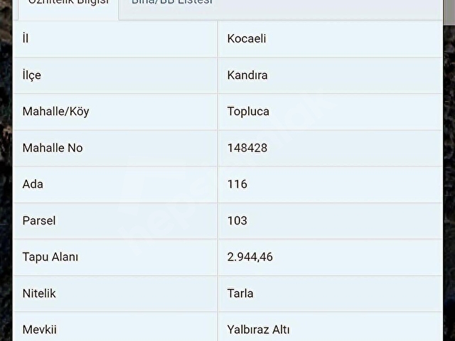KANDIRA TOPLUCADA DÜZ , TARIM ARAZİSİ - Görsel 12
