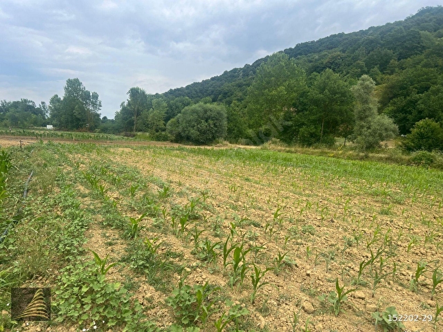 KANDIRA TOPLUCADA DÜZ , TARIM ARAZİSİ - Görsel 16