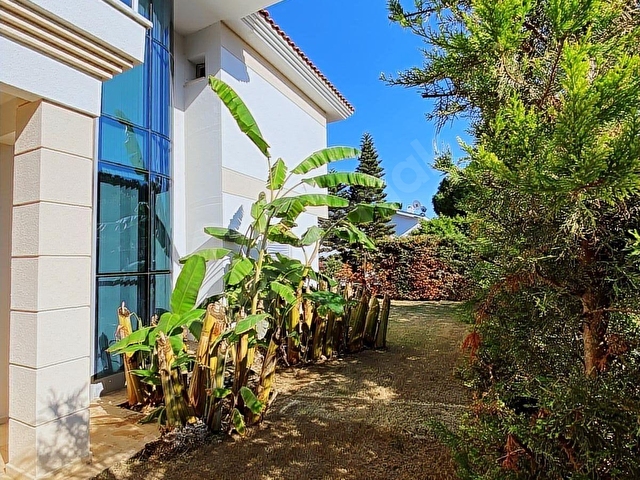 ÇEŞME BOYALIKTA 630 M2 ARSA İÇİNDE TRİPLEKS 5+2 VİLLA - Görsel 2