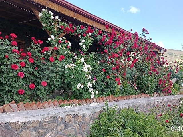 erciyes taşından özenle yapılmış bağevi - Görsel 29