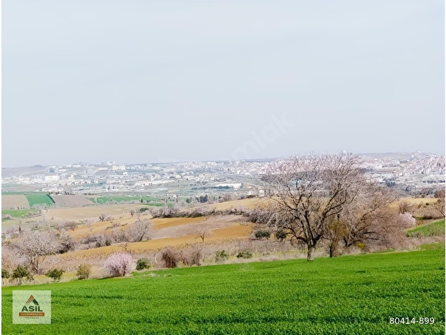 TEKİRDAĞ SÜLEYMANPAŞA YAVUZ MAHALLESİ ASİL EMLAK SATILIK TARLA. - Görsel 2