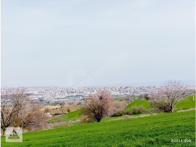 TEKİRDAĞ SÜLEYMANPAŞA YAVUZ MAHALLESİ ASİL EMLAK SATILIK TARLA. - Görsel 3