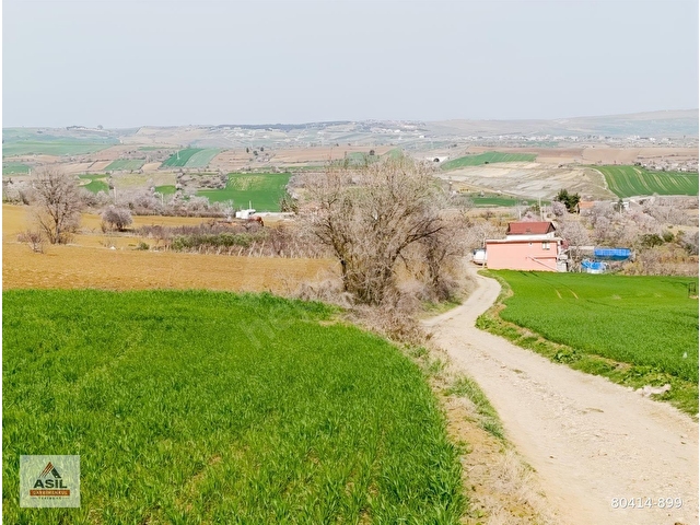 TEKİRDAĞ SÜLEYMANPAŞA YAVUZ MAHALLESİ ASİL EMLAK SATILIK TARLA. - Görsel 6