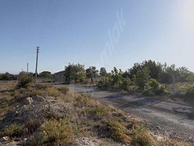 Kemerhisar Merkez Yakını EskiÜzümBağı Yeraltı Sulu Verimli Arazi - Görsel 2