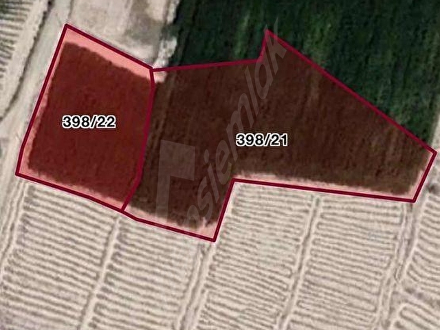Kemerhisar Merkez Yakını EskiÜzümBağı Yeraltı Sulu Verimli Arazi - Görsel 17
