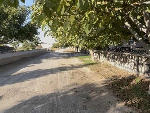 Kemerhisar Merkez Yakını EskiÜzümBağı Yeraltı Sulu Verimli Arazi - Görsel 4