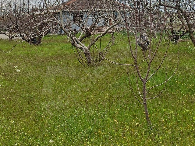 Kemalpaşada yatırımcıya Özel Altyapılı Geniş Arazi - Görsel 8
