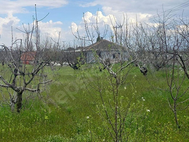 Kemalpaşada yatırımcıya Özel Altyapılı Geniş Arazi - Görsel 2