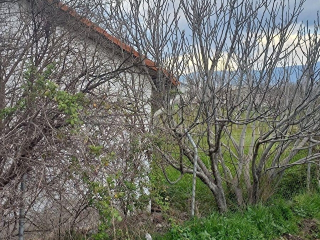 Kemalpaşada yatırımcıya Özel Altyapılı Geniş Arazi - Görsel 5