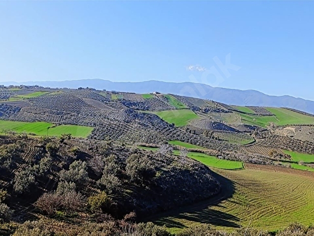 ANTAKYA ÜZÜMDALINDA 644 M İMARLI İFRAZLI ARSA - Görsel 20