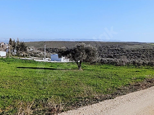 ANTAKYA ÜZÜMDALINDA 644 M İMARLI İFRAZLI ARSA - Görsel 25