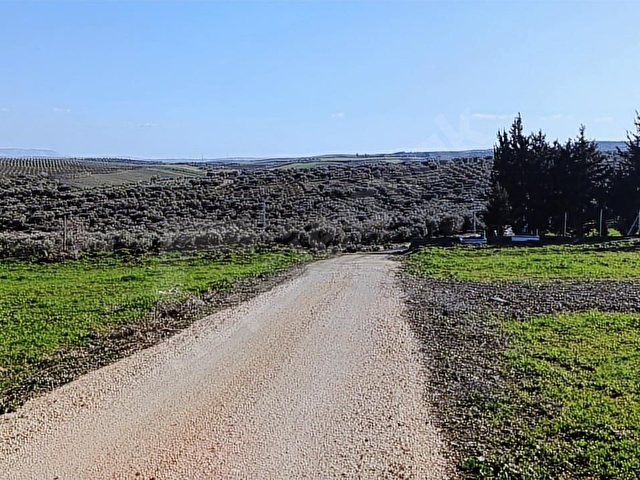 ANTAKYA ÜZÜMDALINDA 644 M İMARLI İFRAZLI ARSA - Görsel 24