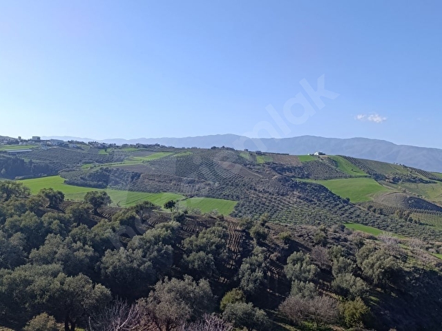 ANTAKYA ÜZÜMDALINDA 644 M İMARLI İFRAZLI ARSA - Görsel 19