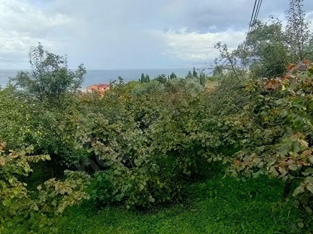 AKÇAABAT AKÇAKALE ZEYTİNLİK DE SATILIK İMARLI ARSA - Görsel 27