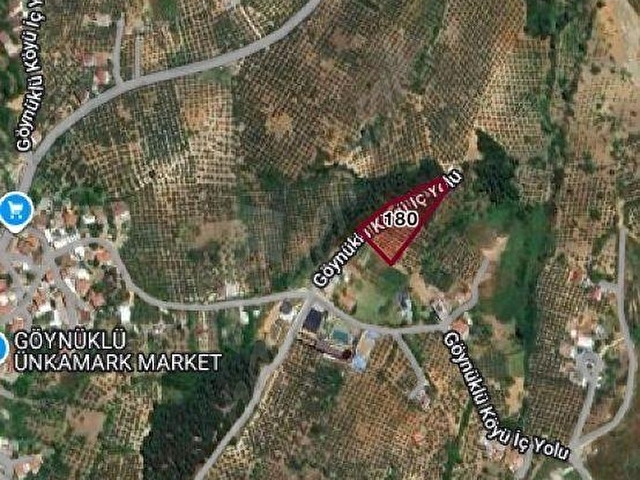 APOLYONT GAYRİMENKULDEN Mudanya Göynüklüde Satılık TARLA!! - Görsel 4