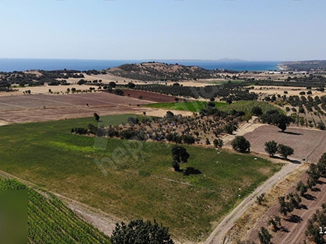 ÇANAKKALE EZİNE ALEMŞAHTA FULL DENİZ MANZARALI FIRSAT ARAZİ - Görsel 27