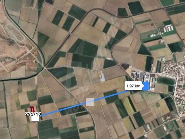 SAHİBİNDEN MÜSTAKİL TAPULU SEYREK KÖYDE 8.880 M2 FIRSAT TARLAR - Görsel 3