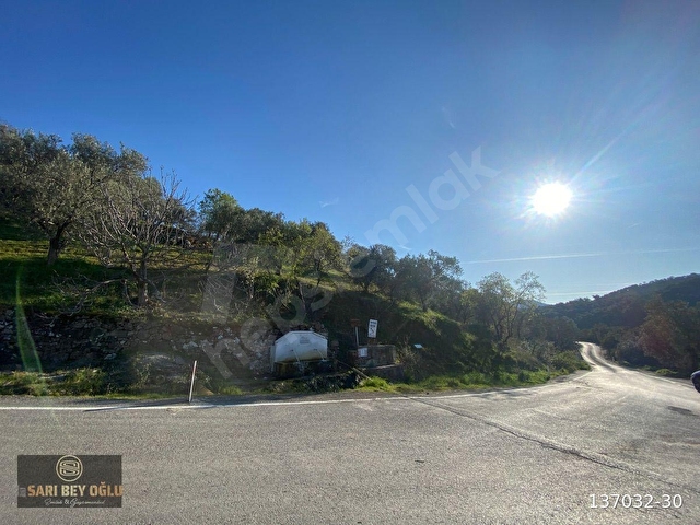 BURHANİYE’DE NADİR BULUNAN PORTFÖY! 10.819 m² – MANZARA, SU, YOL, VERİM HEPSİ VAR! - Görsel 12