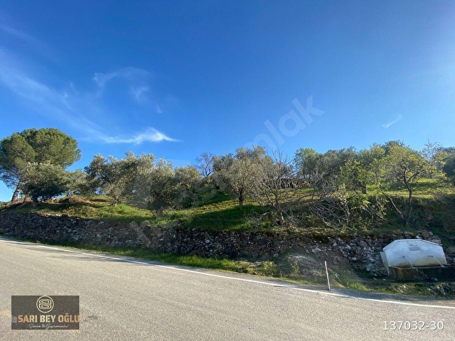 BURHANİYE’DE NADİR BULUNAN PORTFÖY! 10.819 m² – MANZARA, SU, YOL, VERİM HEPSİ VAR! - Görsel 13