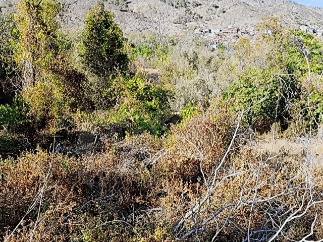 BİLECİKİN EN BÜYÜK KÖYÜNDE 570 M2,%40 İMARLI VE MANZARALI ARSA - Görsel 18
