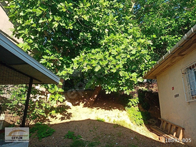Beykoz Orta ces me - Görsel 29