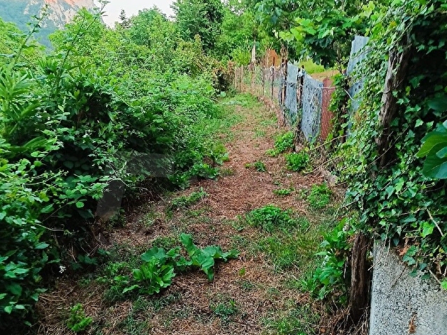 KASTAMONU İNEBOLU GÜNEŞLİ KÖYÜNDE 2 ADET SATILIK TARLA - Görsel 5