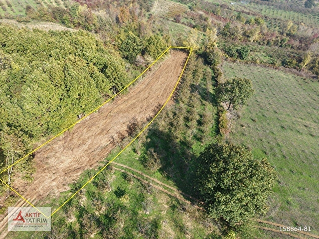 KANDIRA ANTAPLI MAHALLESİNDE SATILIK 1632 M2 FIRSAT TARLA - Görsel 5