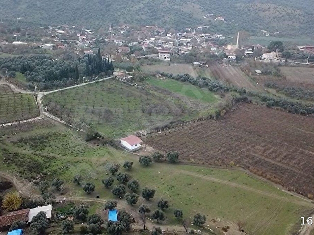 İZMİR TİRE HALKAPINAR KÖYÜ SATILIK ZEYTİNLİK - Görsel 2