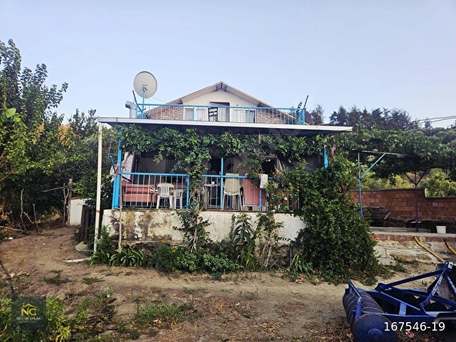 İZMİR TİRE HALKAPINAR KÖYÜ SATILIK ZEYTİNLİK