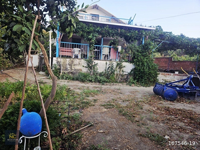 İZMİR TİRE HALKAPINAR KÖYÜ SATILIK ZEYTİNLİK - Görsel 13